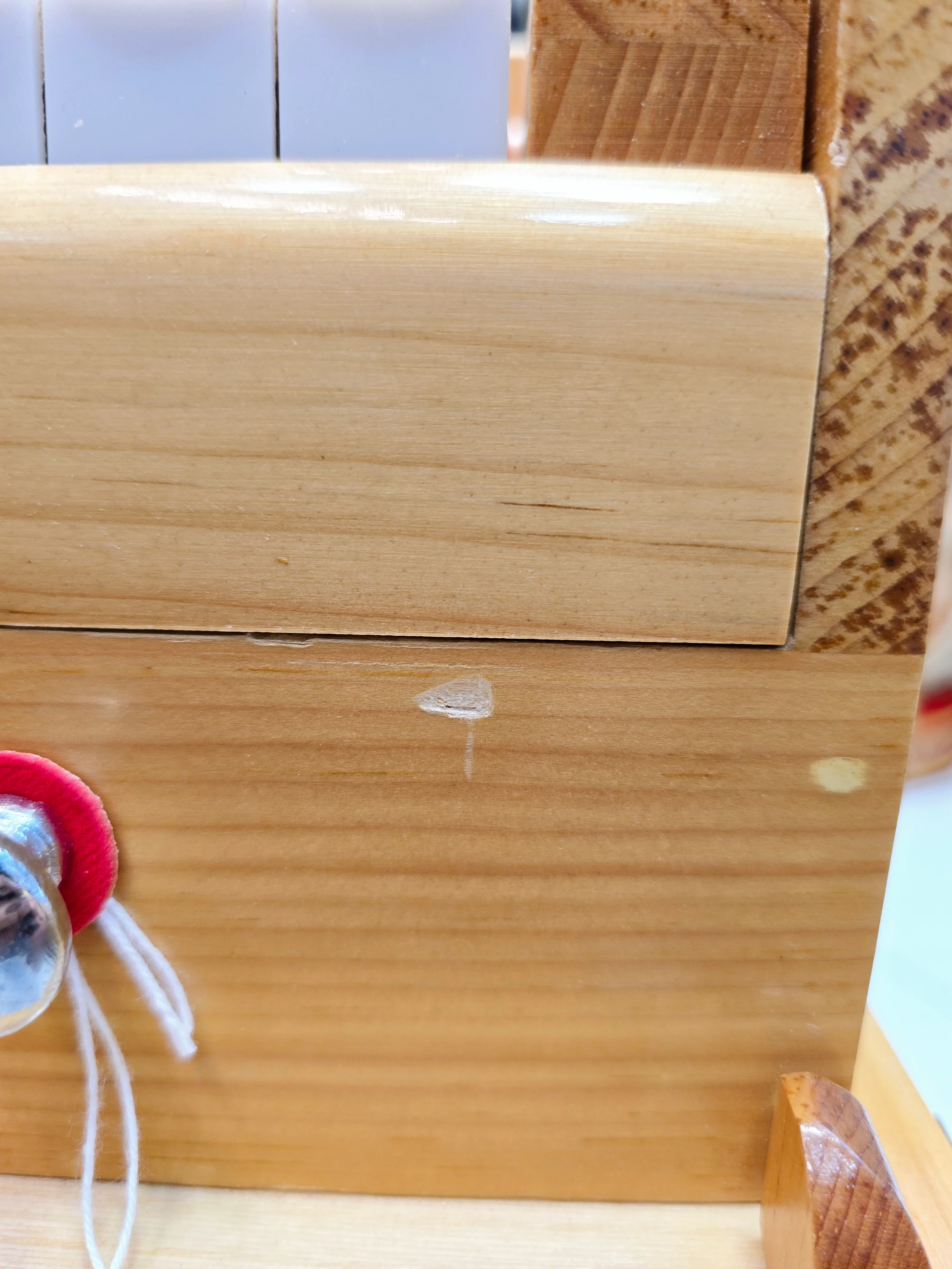 Ember Trekker Harmonium – Professional 2-Reed Traveller with LHC - Image 12