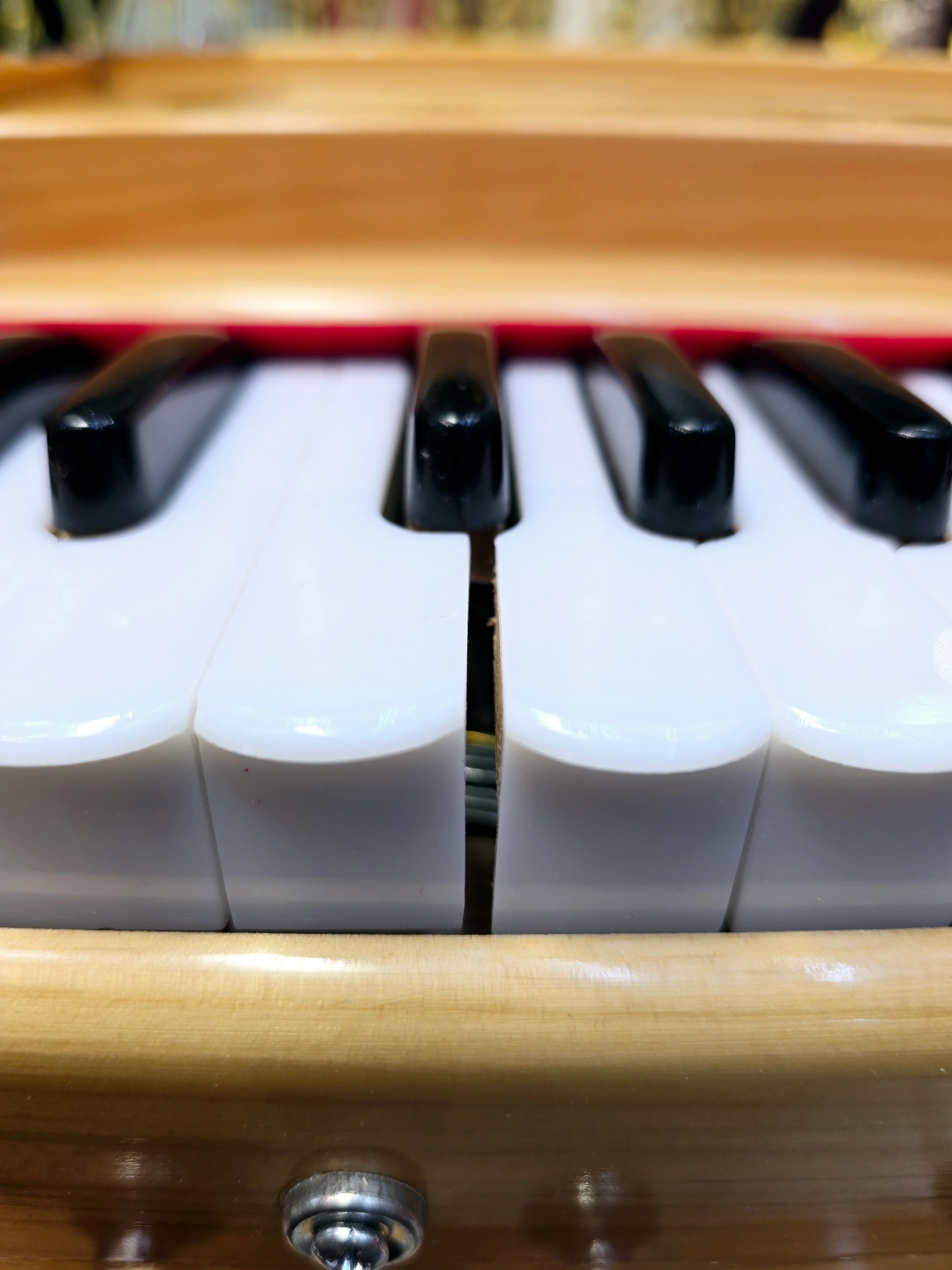 Natural Harmony: 2 Reed Pine Wood Traveller Harmonium with Minor Cosmetic Defects - Image 13